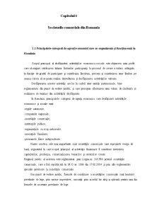 Analiza economico-financiară pe baza situațiilor financiare anuale la SC Floremi Prest SRL - Pagina 5
