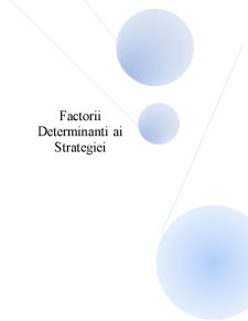 Factorii determinanți ai strategiei - Pagina 1