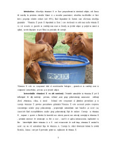 Hipovitaminoza E și seleniu la bovine - Pagina 3