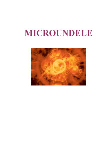 Tehnologia Microundelor - Pagina 1