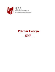 Analiza acțiunilor SNP Petrom - Pagina 2