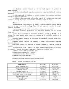 Analiza și diagnosticul firmei SC Zentiva SA București - Pagina 5