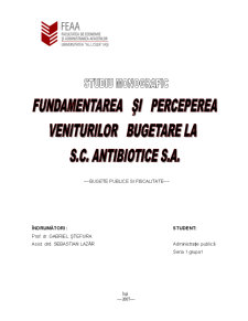 Fundamentarea și perceperea veniturilor bugetare la Antibiotice SA Iași - Pagina 1