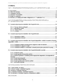 Fundamentarea și perceperea veniturilor bugetare la Antibiotice SA Iași - Pagina 2