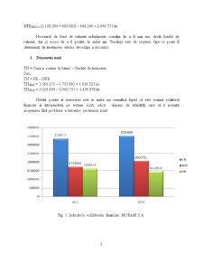 Evaluarea Afacerii SC Mobam SA - Pagina 2