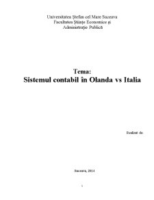 Sistemul contabil în Olanda versus Italia - Pagina 1