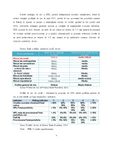 Analiza Riscului de Creditare la Piraeus Bank România - Pagina 4