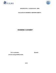 Managementul Proiectului - Kromberg&Schubert - Pagina 1