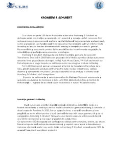 Managementul Proiectului - Kromberg&Schubert - Pagina 3