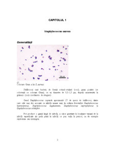 Determinarea Staphylococcus Aureus - Pagina 3