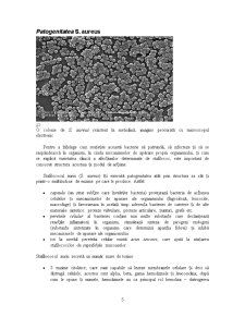 Determinarea Staphylococcus Aureus - Pagina 5