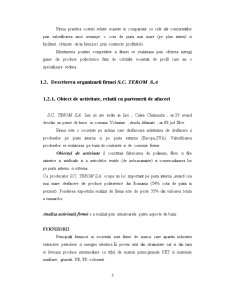 SC Terom SA Iași - Pagina 3