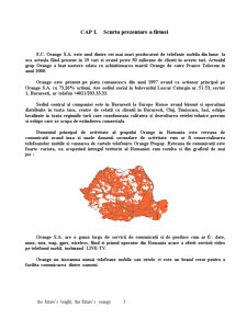 Studiu Aplicativ Orange SA România - Pagina 3