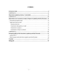 Spațiul periurban - dimensiune și cerințe ecologice - studiu de caz București - Pagina 2