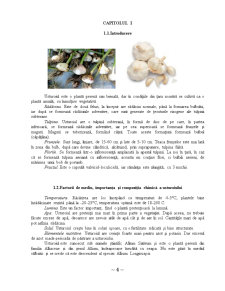 Deshidratarea usturoiului - Pagina 4