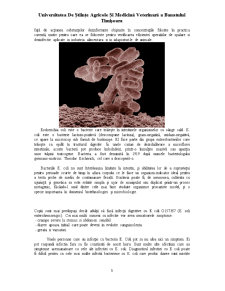 Metode rapide de determinare a parametrilor microbiologici în carne și produse din carne - e-coli, salmonella - Pagina 3