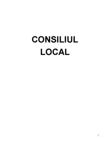 Consiliul Local - Pagina 2
