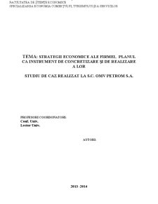 Strategii Economice ale Firmei, Planul ca Instrument de Concretizare și de Realizare a Lor - Pagina 1