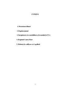 Monografie contabilă - Pagina 2