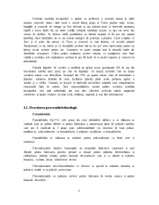 Procesul de fabricație al formaldehidei în vederea protecției mediului - Pagina 4