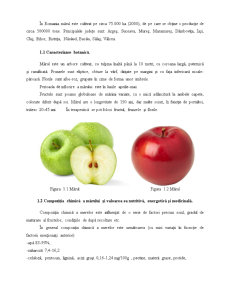 Mărul - Pagina 5