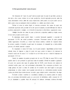 Specia Merlucius Merlucius - Pagina 2