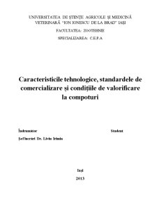 Standarde de Comercializare ale Compoturilor - Pagina 1