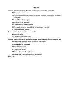 Standarde de Comercializare ale Compoturilor - Pagina 2
