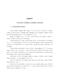 Standarde de Comercializare ale Compoturilor - Pagina 3