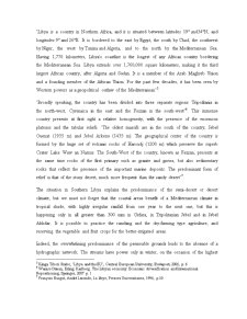The Relations Between European Union and Libya - Pagina 4