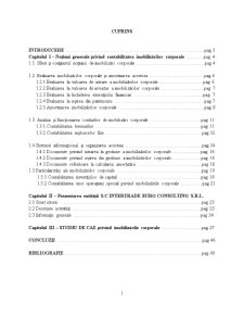 Sistemul informațional privind contabilitatea imobilizărilor corporale - Pagina 2