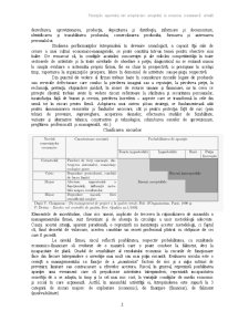 Proiecțiile raportului risc acceptat - risc acceptabil în economia românească actuală - Pagina 3