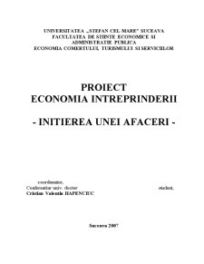 Inițierea unei afaceri - proiect economia întreprinderii - Pagina 1
