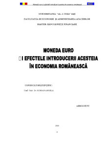 Moneda Euro și Efectele Introducerii Acesteia în Economia Românească - Pagina 2