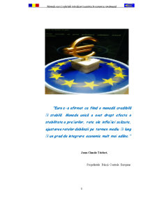 Moneda Euro și Efectele Introducerii Acesteia în Economia Românească - Pagina 3