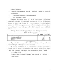 Analiza Financiară a Firmei SC Argus SA - Pagina 4