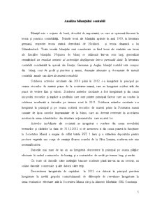 Analiza Financiară a Firmei SC Argus SA - Pagina 5