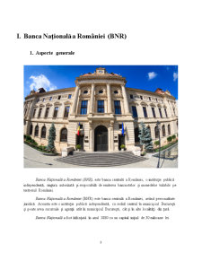 Relațiile dintre BNR și Celelalte Bănci - Pagina 3