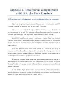 Studiu monografic Agenția Alpha Bank - Pagina 3