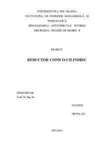Reductor Conico-Cilindric - Pagina 1