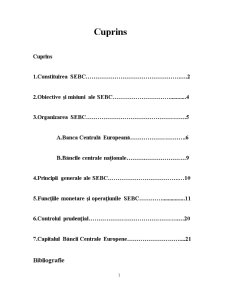 Organizarea și funcționarea sistemului bancar al băncilor centrale - Pagina 2