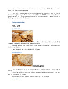 Analiza Pieței Pâinii - Pagina 3
