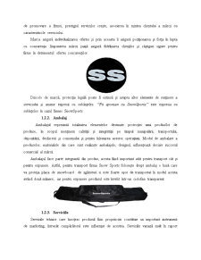 Mixul de marketing la firma SC Snowsports SRL - Pagina 3