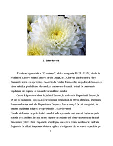 Implementarea sistemului HACCP în Pensiunea Agroturistică Crizantema - Pagina 2