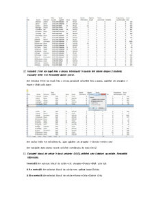 Introducerea și Modificarea Datelor în Excel - Pagina 5