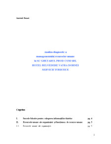 Analiza diagnostic a managementului resurselor umane la SC Ghetarul Prod Com SRL - Pagina 2