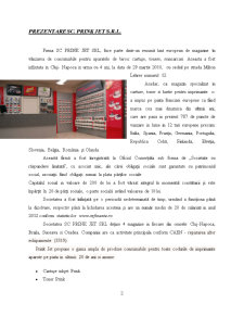 Evaluarea afacerii la SC Prink Jet SRL - Pagina 2