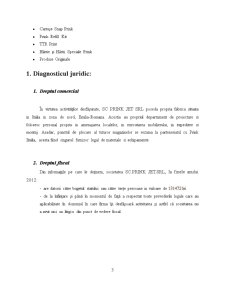 Evaluarea afacerii la SC Prink Jet SRL - Pagina 3