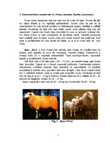 Metodele de Majorare a Producției de Lapte la Ovine - Pagina 4