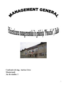 Eficientizarea managementului în Grădinița Pinochio, Zalău - Pagina 1